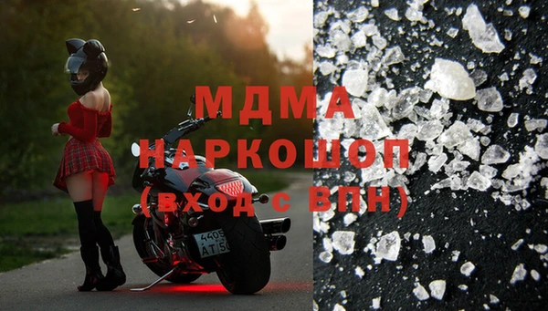 прущие грибы Белокуриха