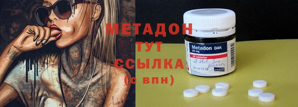 прущие грибы Белокуриха