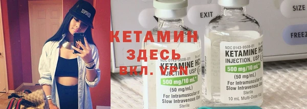 прущие грибы Белокуриха