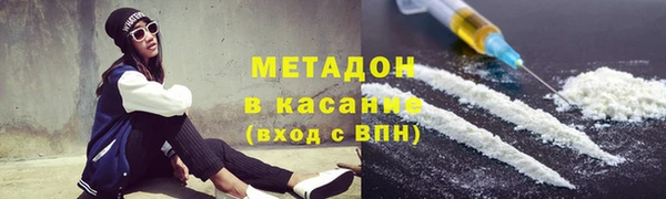 прущие грибы Белокуриха