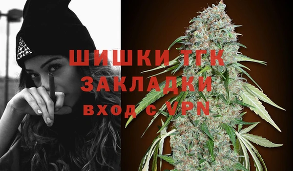 прущие грибы Белокуриха