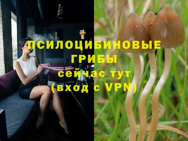 ПСИЛОЦИБИНОВЫЕ ГРИБЫ Беломорск