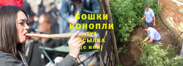 прущие грибы Белокуриха