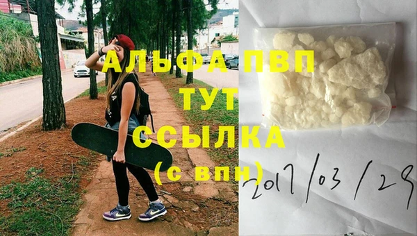прущие грибы Белокуриха