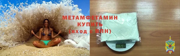 прущие грибы Белокуриха