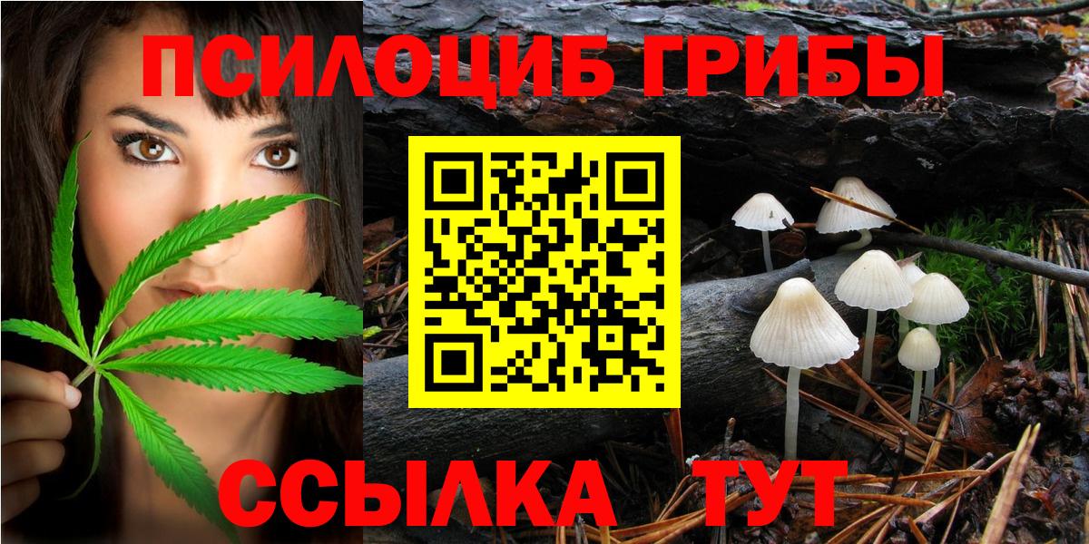 Минеральные Воды  Псилоцибиновые грибы ЛСД  Галлюциногенные грибы прущие грибы  Вход с VPN 