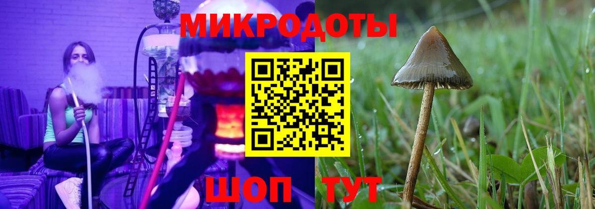 Галлюциногенные грибы ЛСД Минеральные Воды